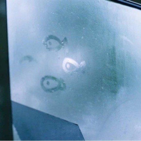 Meet your Posher, Kathy - Picture 1 of 1